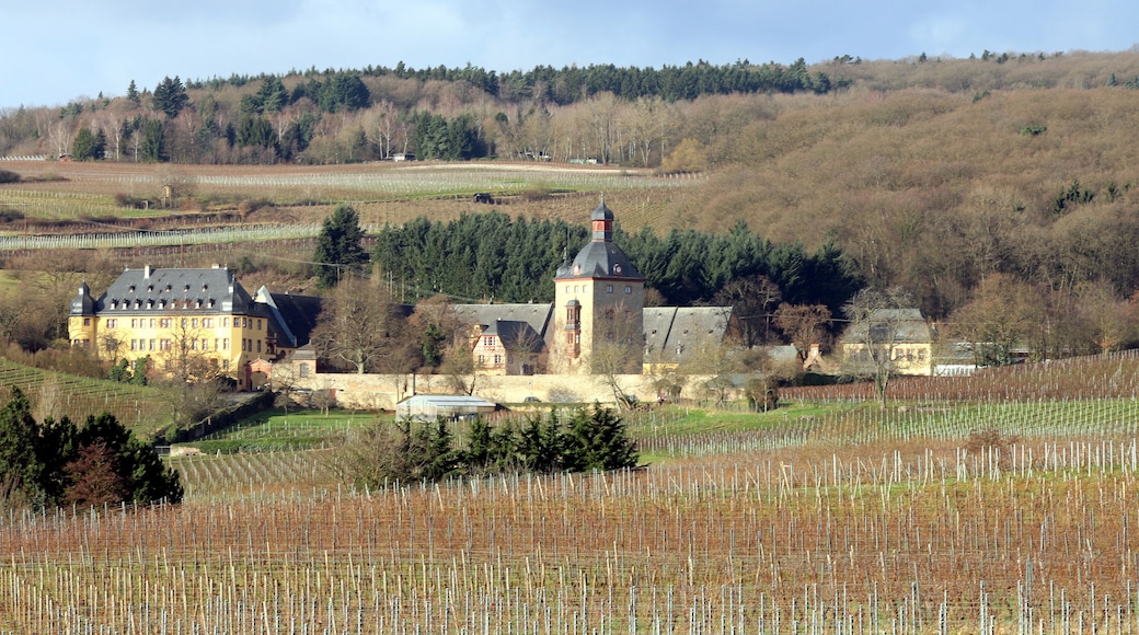 Winkels, Rheingau: Blick auf das Schloss Vollrads