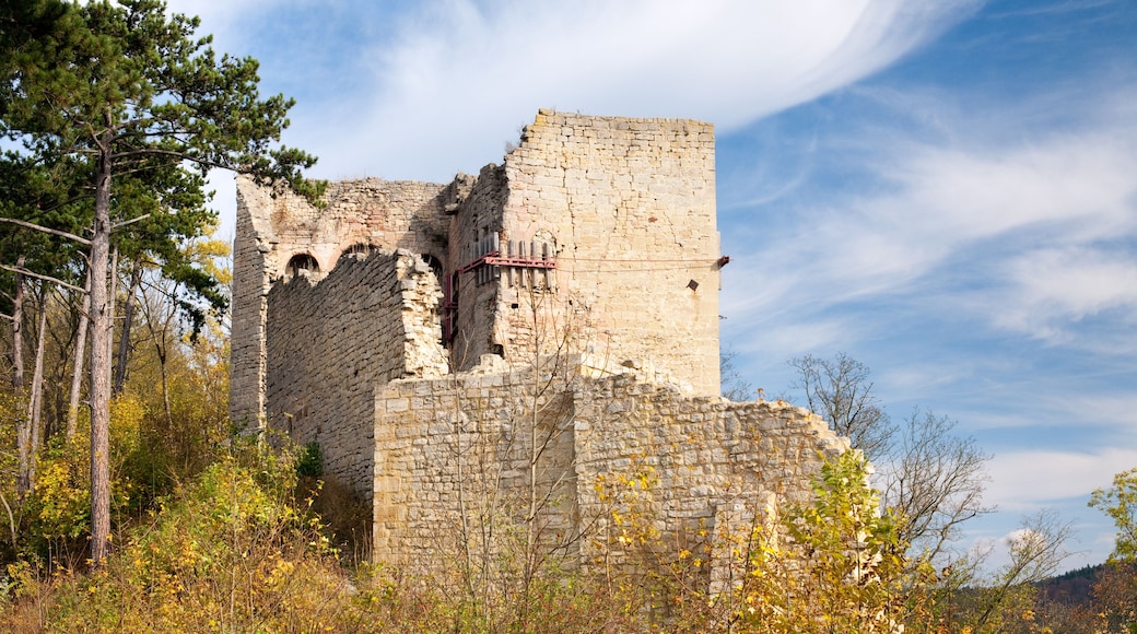A stone castle ruin surrounded by autumn foliage.