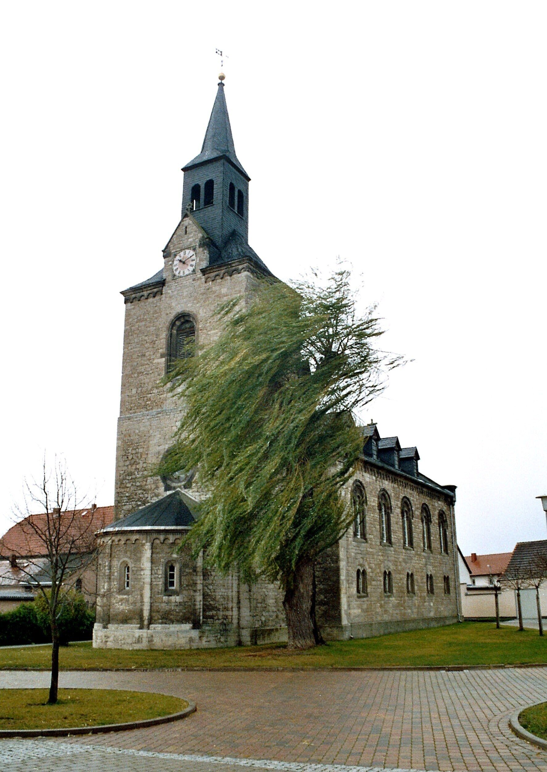 A historic church with a tall tower and a weeping willow tree in front.