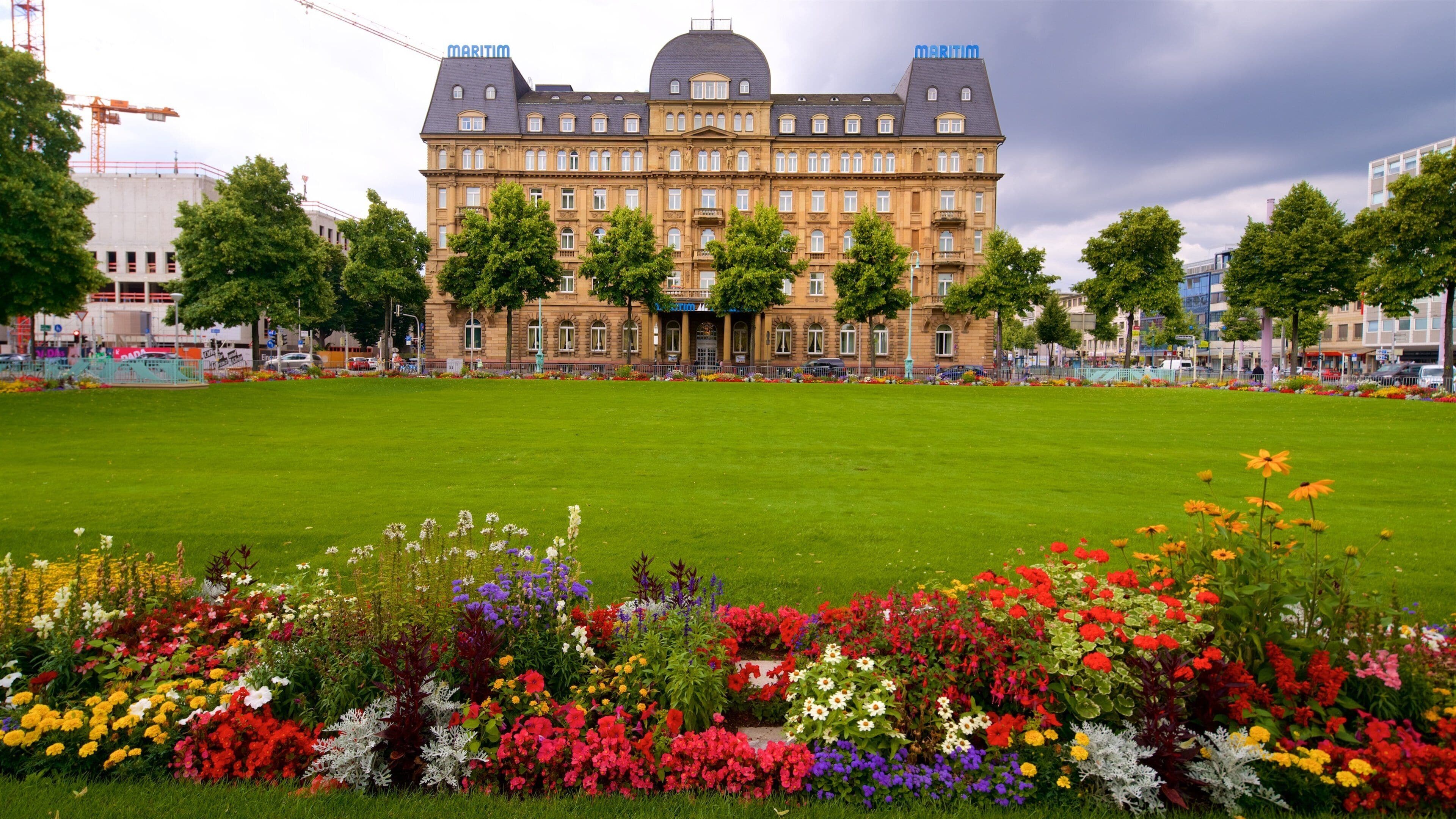Schwetzingerstadt/Oststadt featuring flowers, wildflowers and heritage architecture