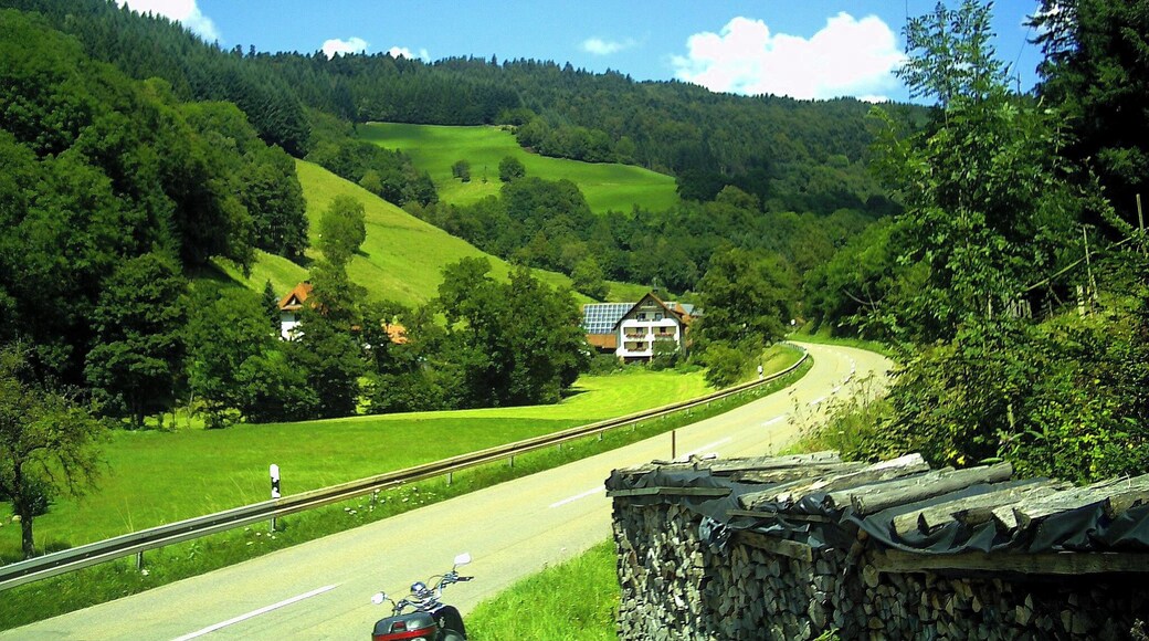 Zwischen Eschbach und St. Peter