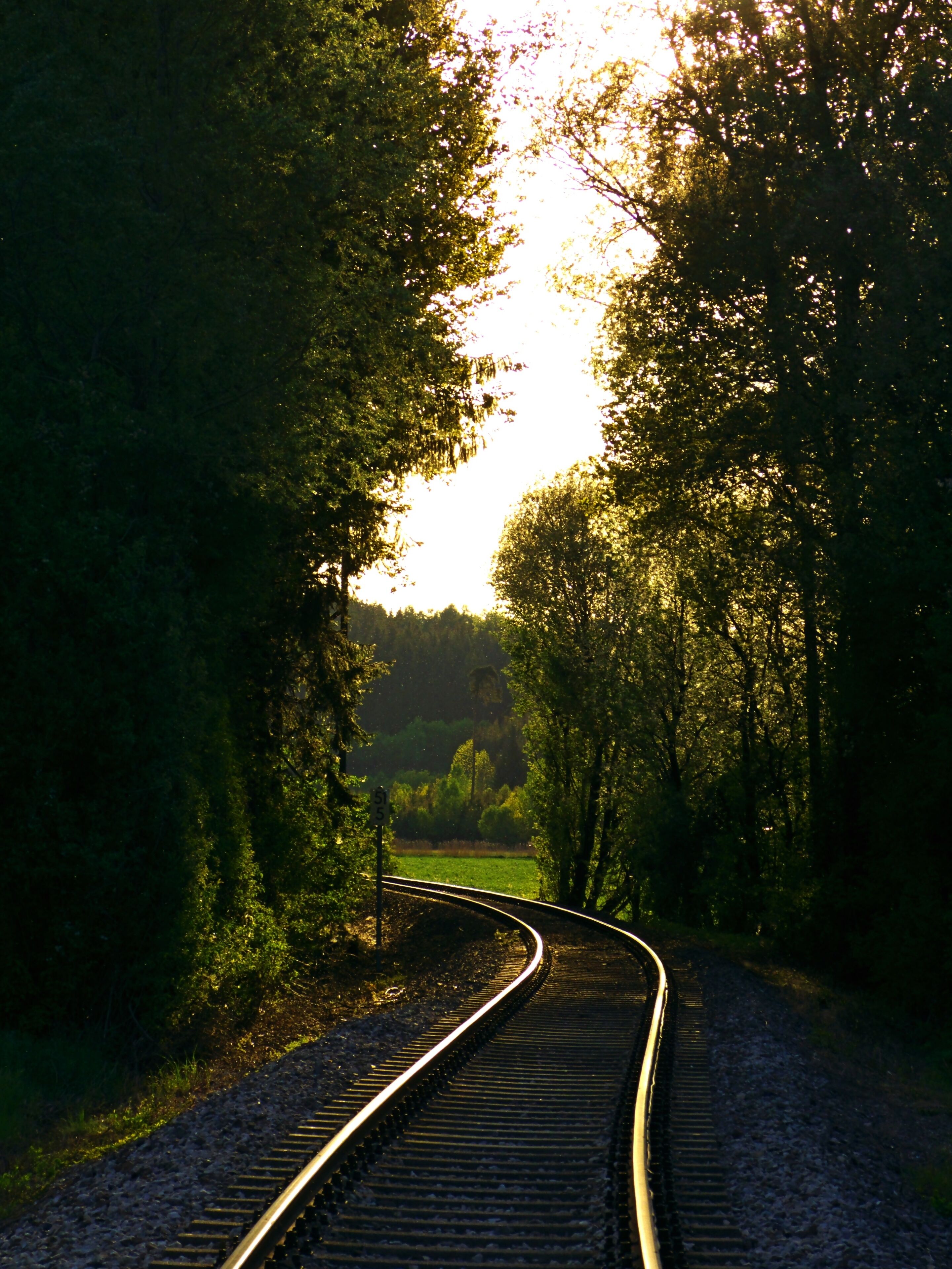 Hegau-Ablachtal-Bahn beim Zielfinger Vogelsee