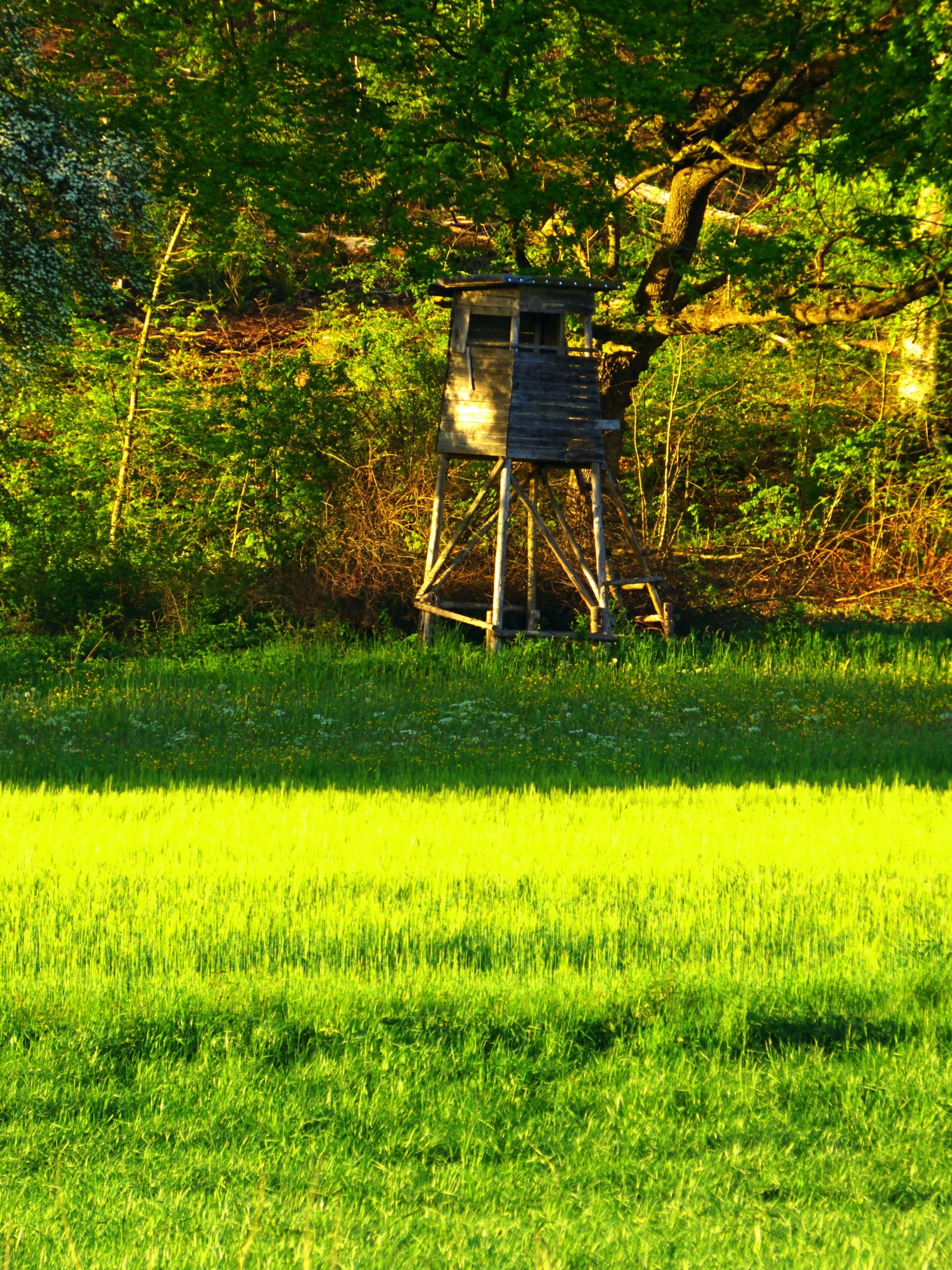 Hochsitz beim Zielfinger Vogelsee