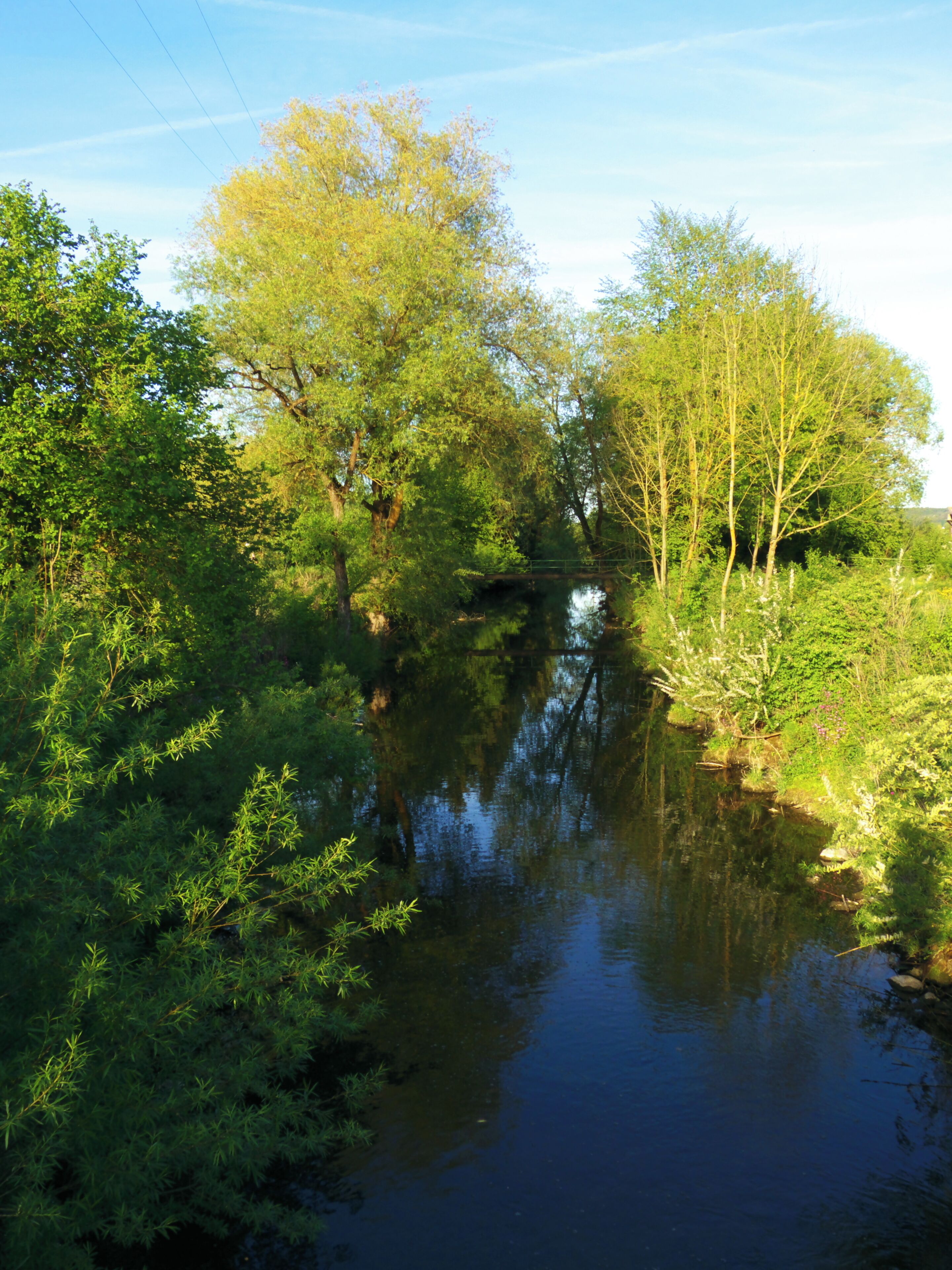 Beim Zielfinger Vogelsee