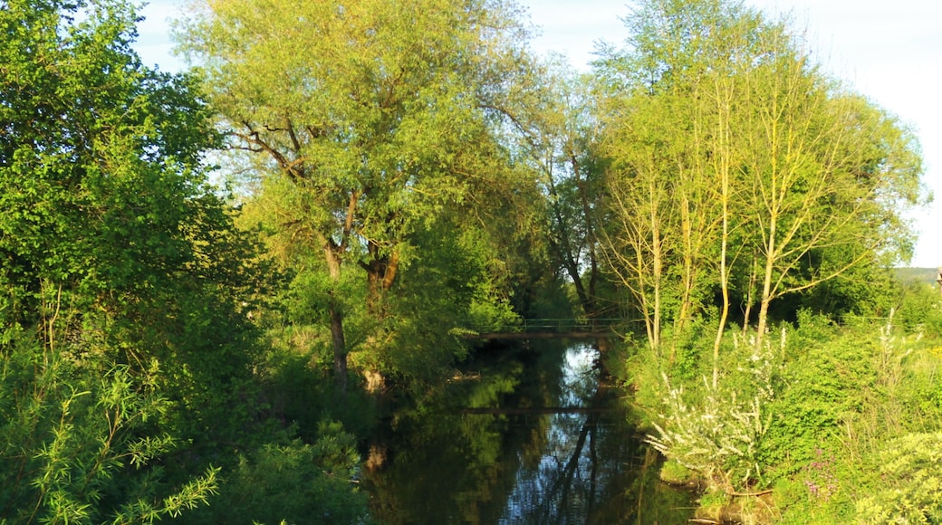 Beim Zielfinger Vogelsee