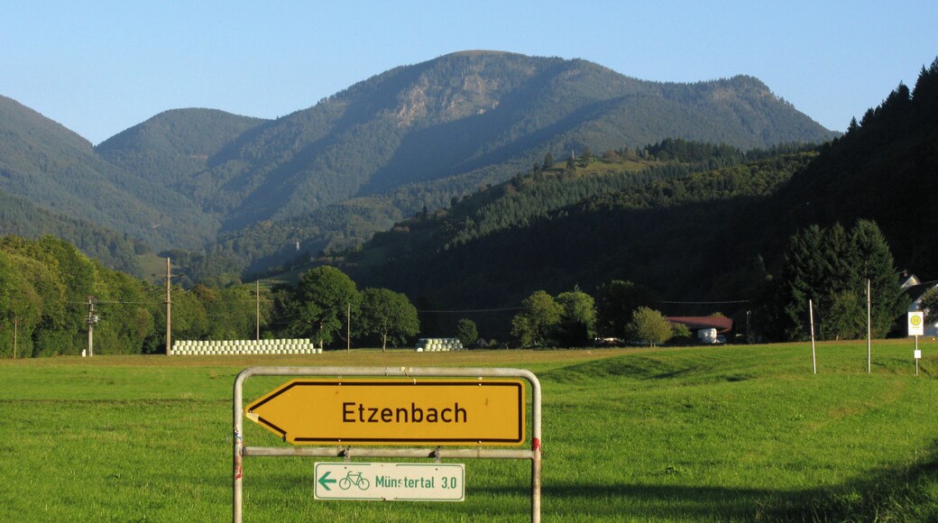 Belchen vom Münstertal, Gemarkung Staufen-Grunern