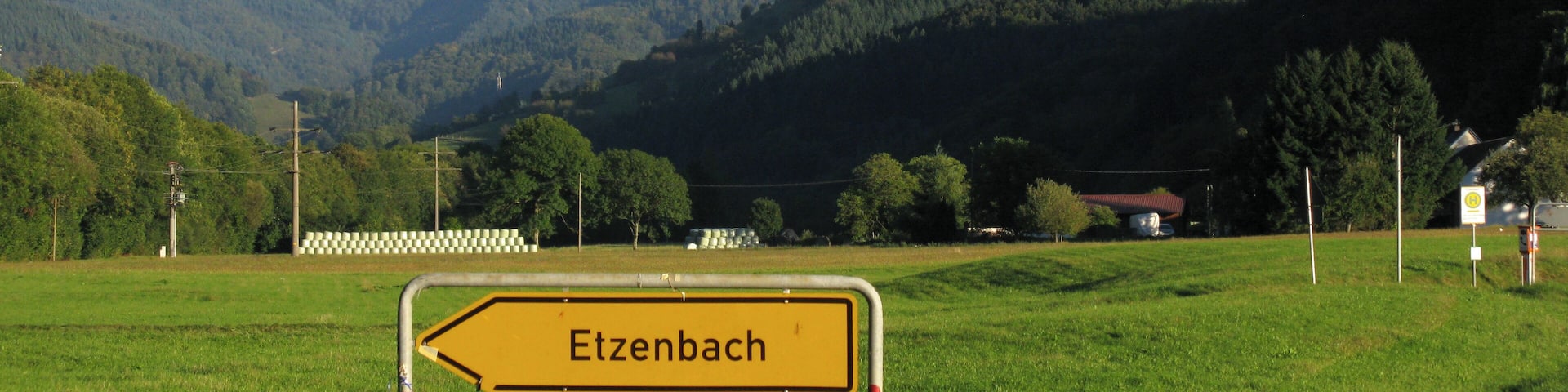 Belchen vom MĂŒnstertal, Gemarkung Staufen-Grunern