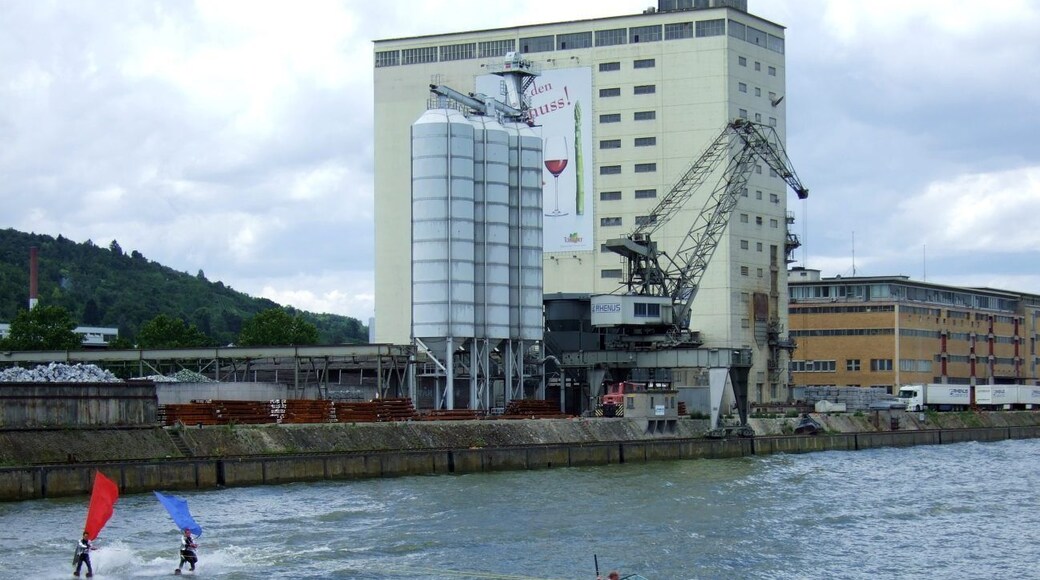 die Rattenfänger vom Neckarhafen