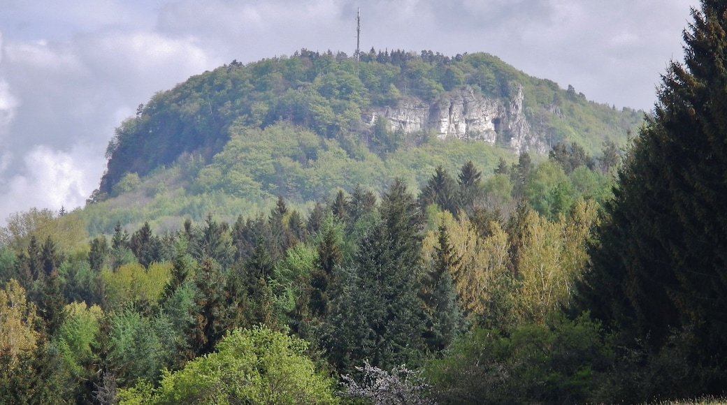 Blick zum Gräbelesberg 914 m ü. NN