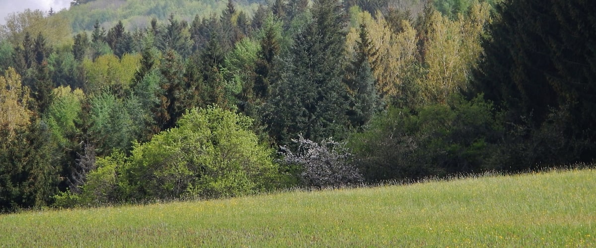 Blick zum Gräbelesberg 914 m ü. NN