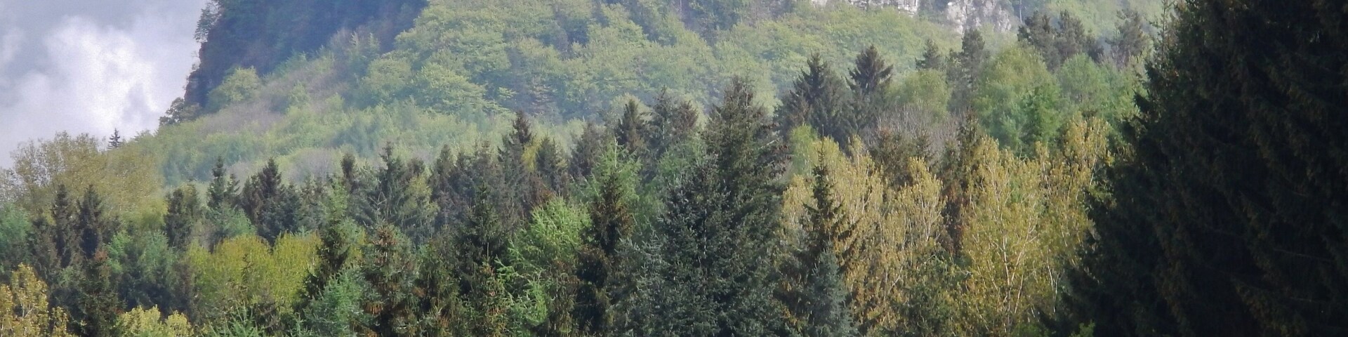 Blick zum Gräbelesberg 914 m ü. NN