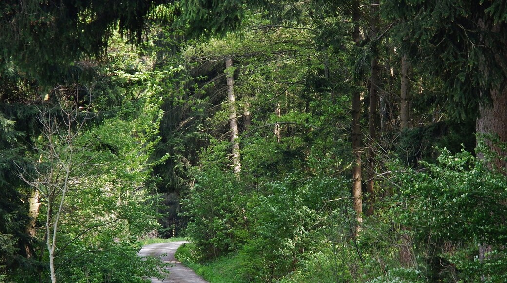 Witthäuleweg