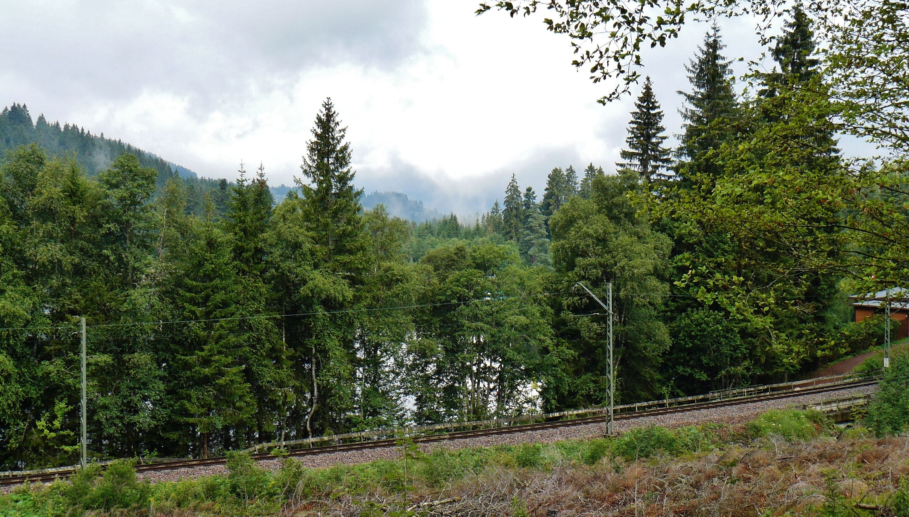 A railway track surrounded by dense forest and mountains.