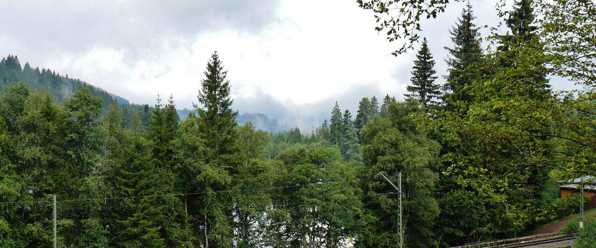 A railway track surrounded by dense forest and mountains.
