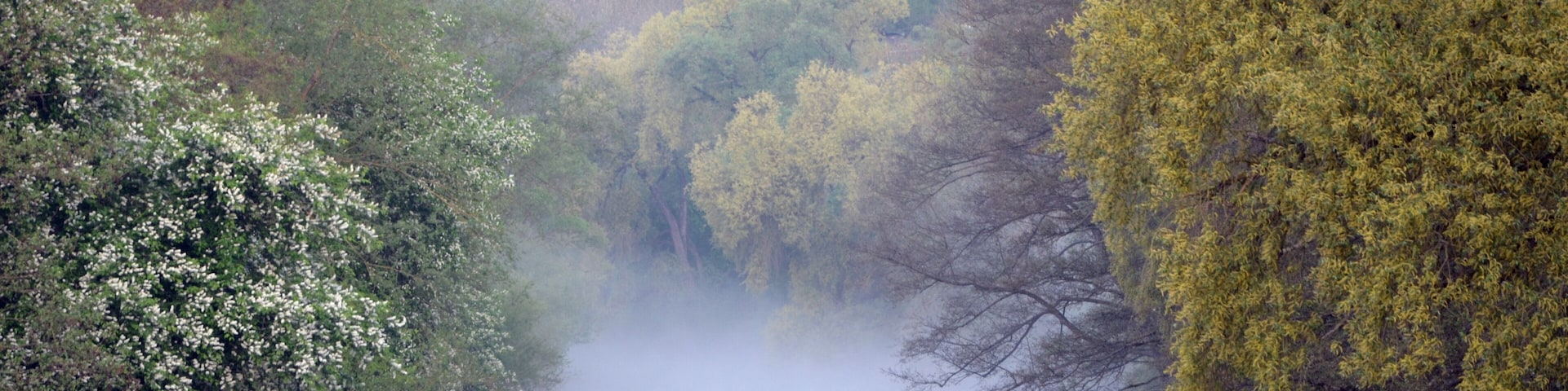Der Neckar in Mühlen