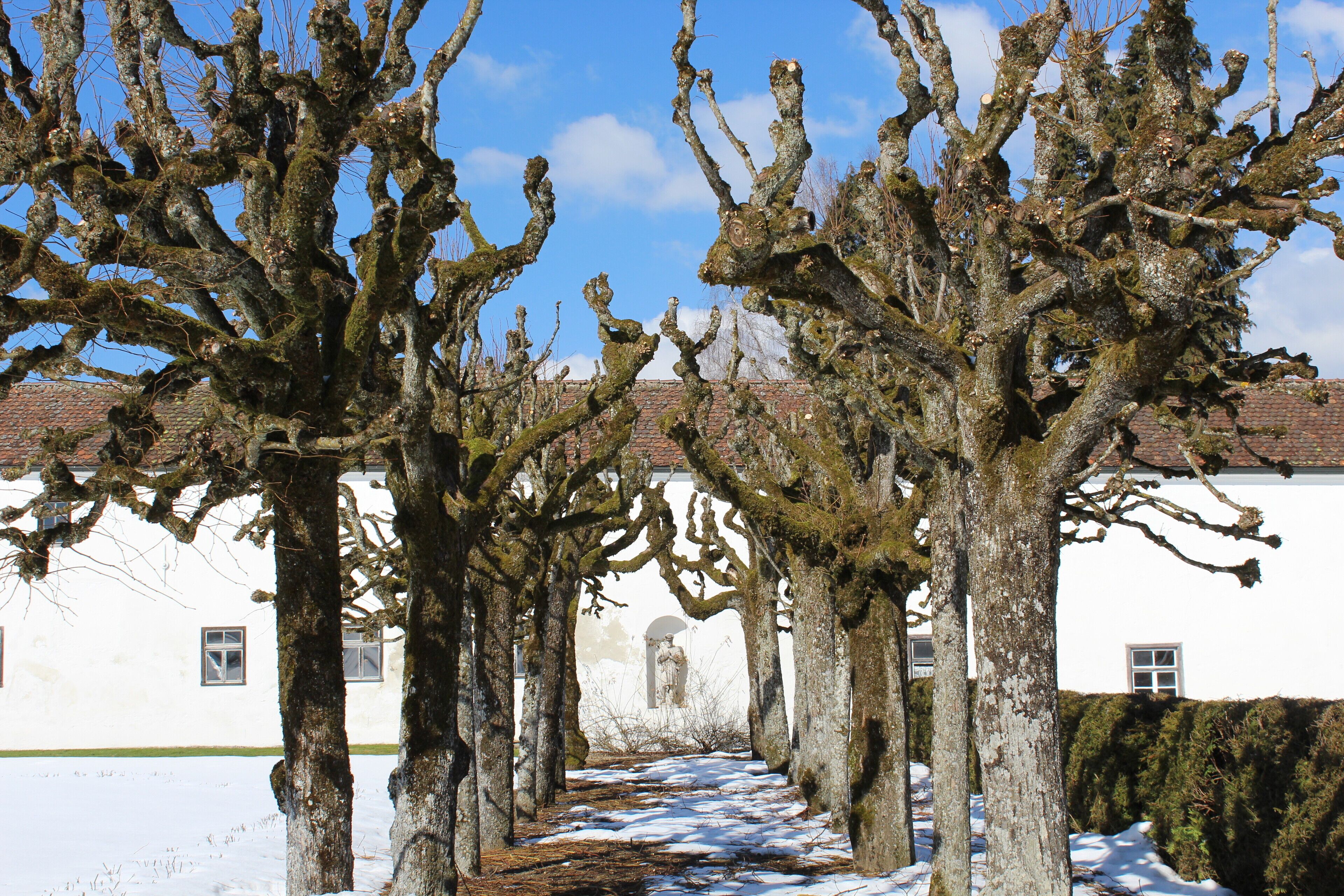 88299 Leutkirch im Allgäu, Germany