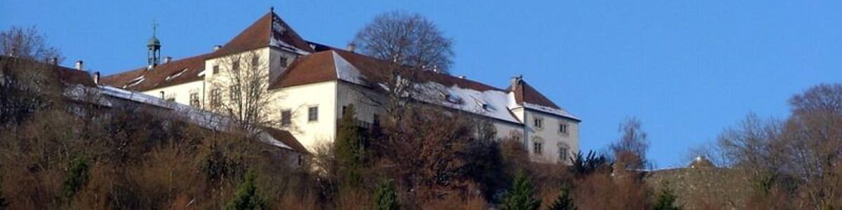 Blick von Herbrazhofen auf Schloss Zeil