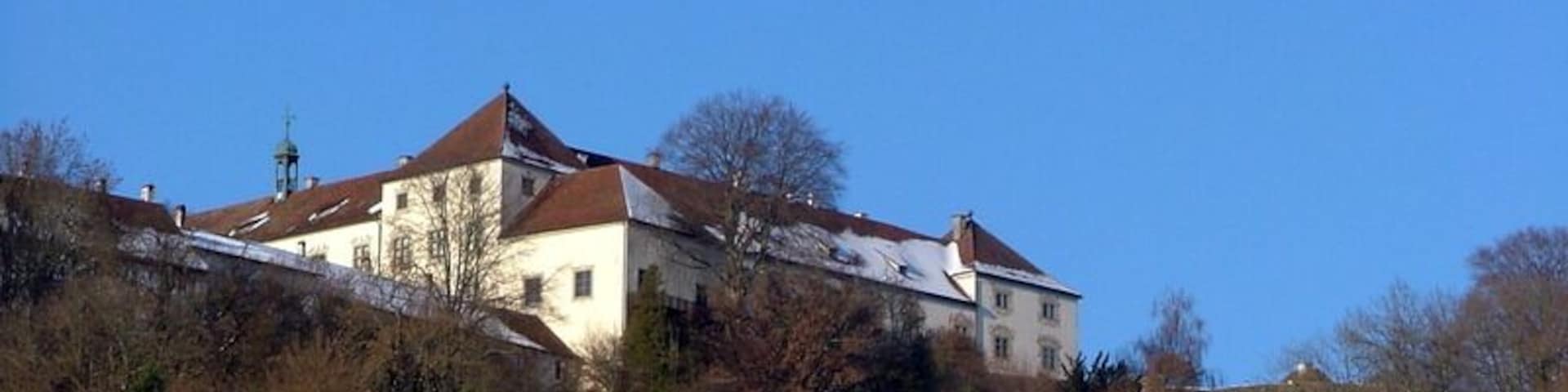 Blick von Herbrazhofen auf Schloss Zeil