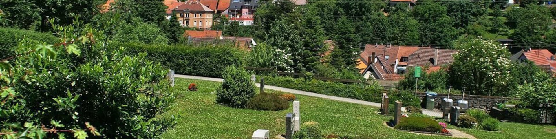 A cemetery with gravestones, surrounded by lush greenery and a church in the background.