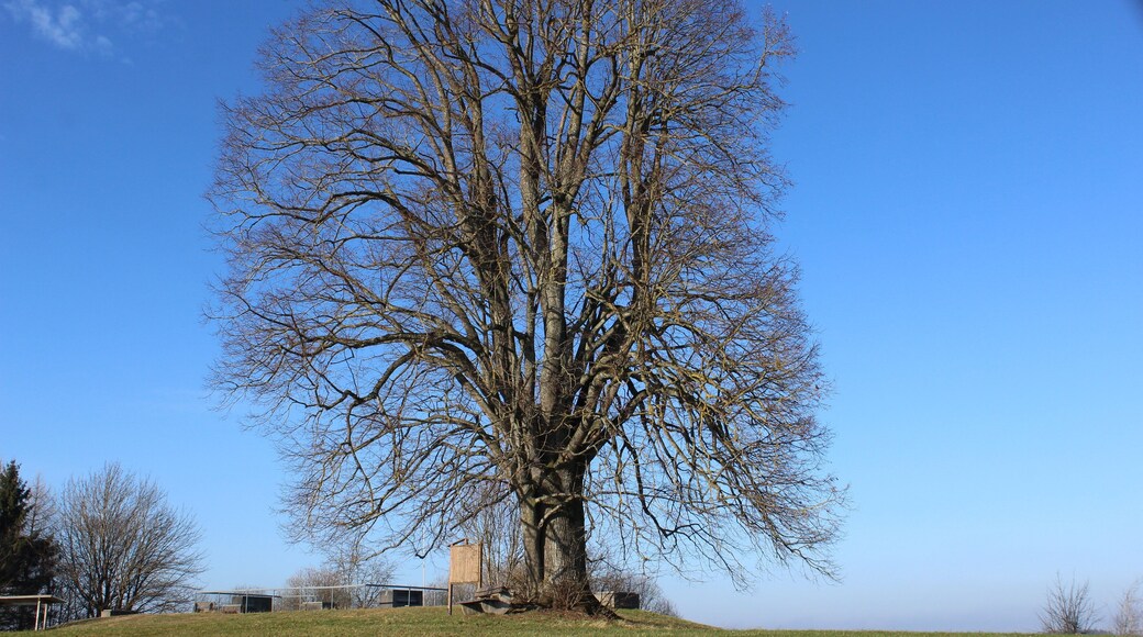 88410 Bad Wurzach, Germany