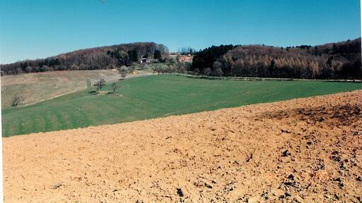 March Countryside - Magic Rhine Valley Photography 1990