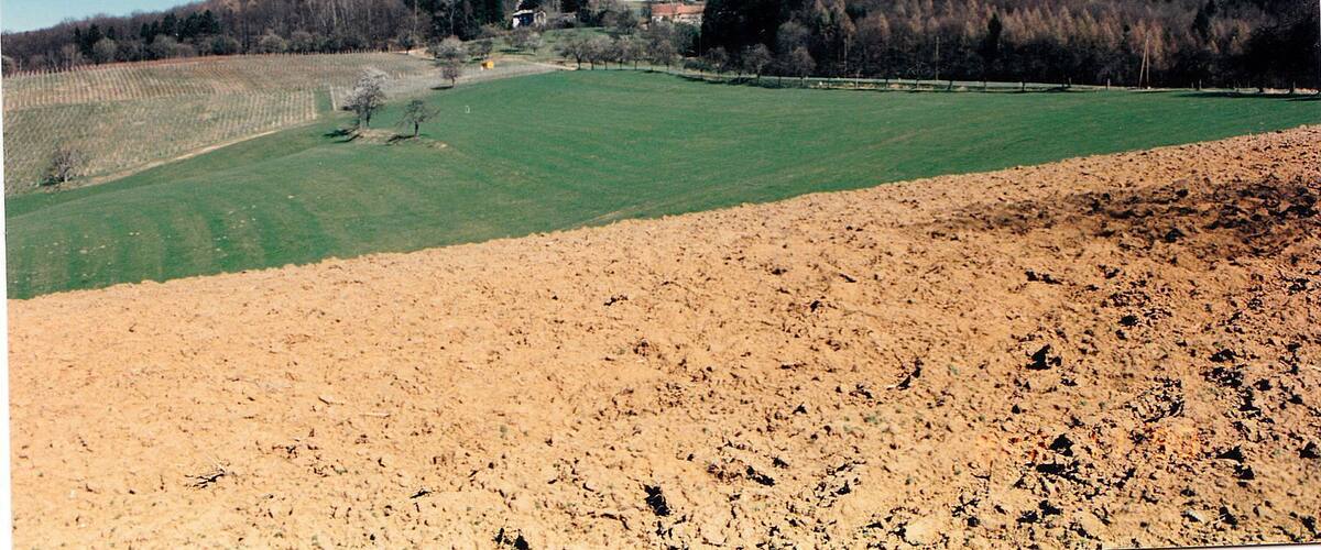 A rural landscape with a green field, a dirt area, and a forested hill.