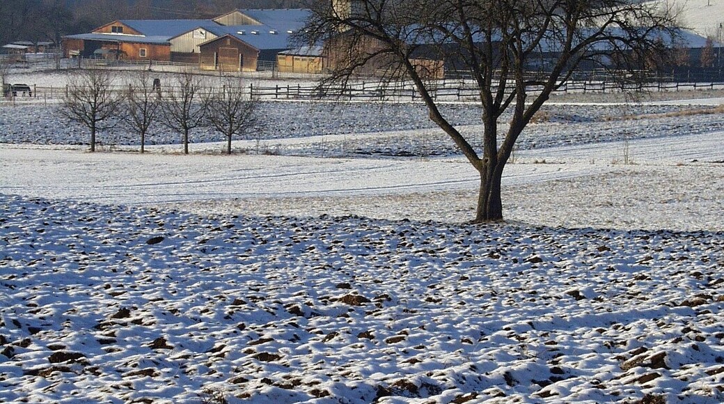 Farm with snow-covered landscape