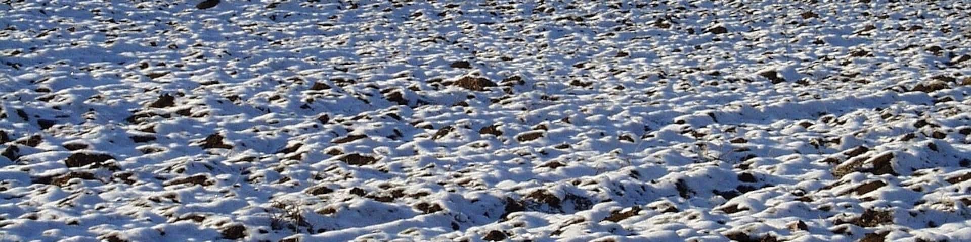 Farm with snow-covered landscape