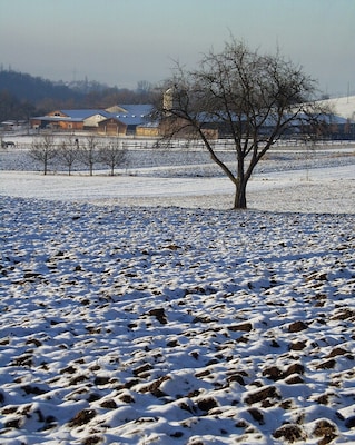 Farm with snow-covered landscape