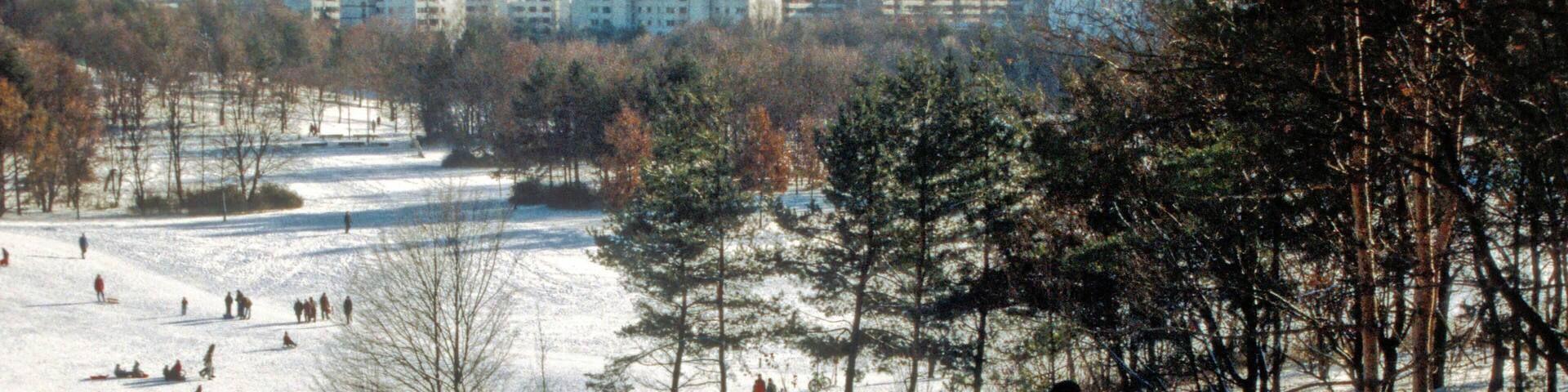 Toboganning in Ost Park I (circa 2003)