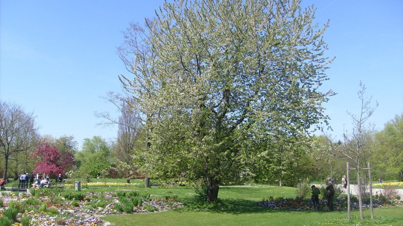 27.04.2008. _ München