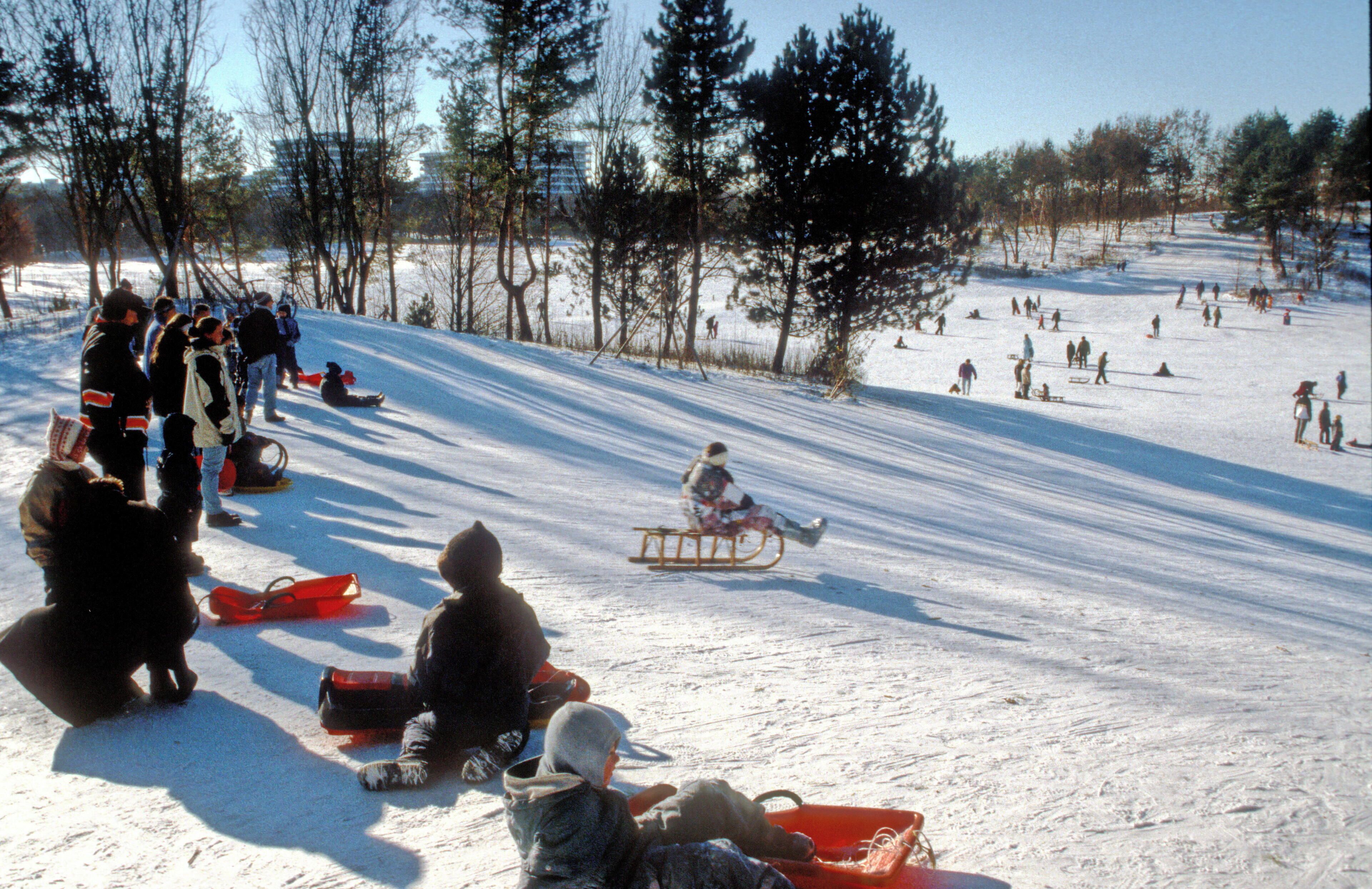 Toboganning in the Ost Park II (circa 2003)