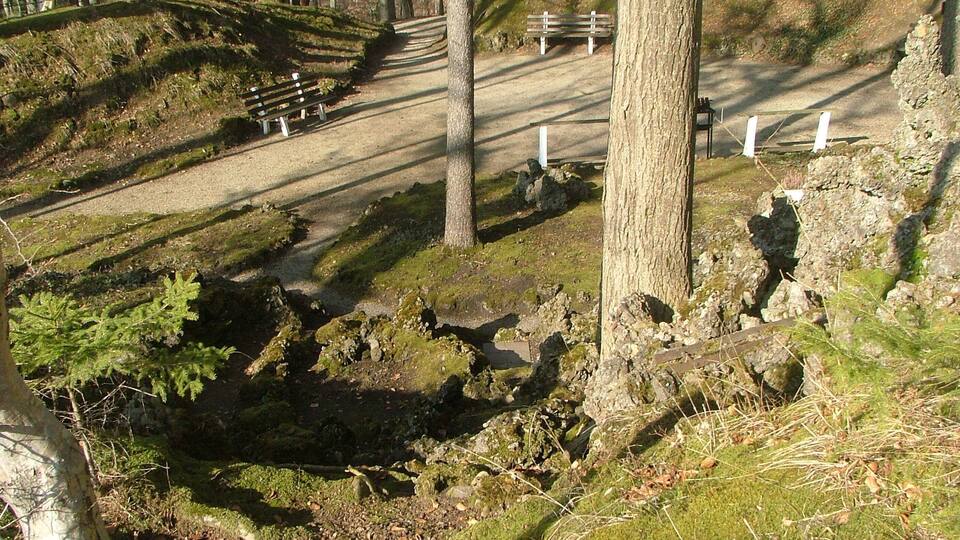 A forested area with a dirt path, benches, and a small clearing.