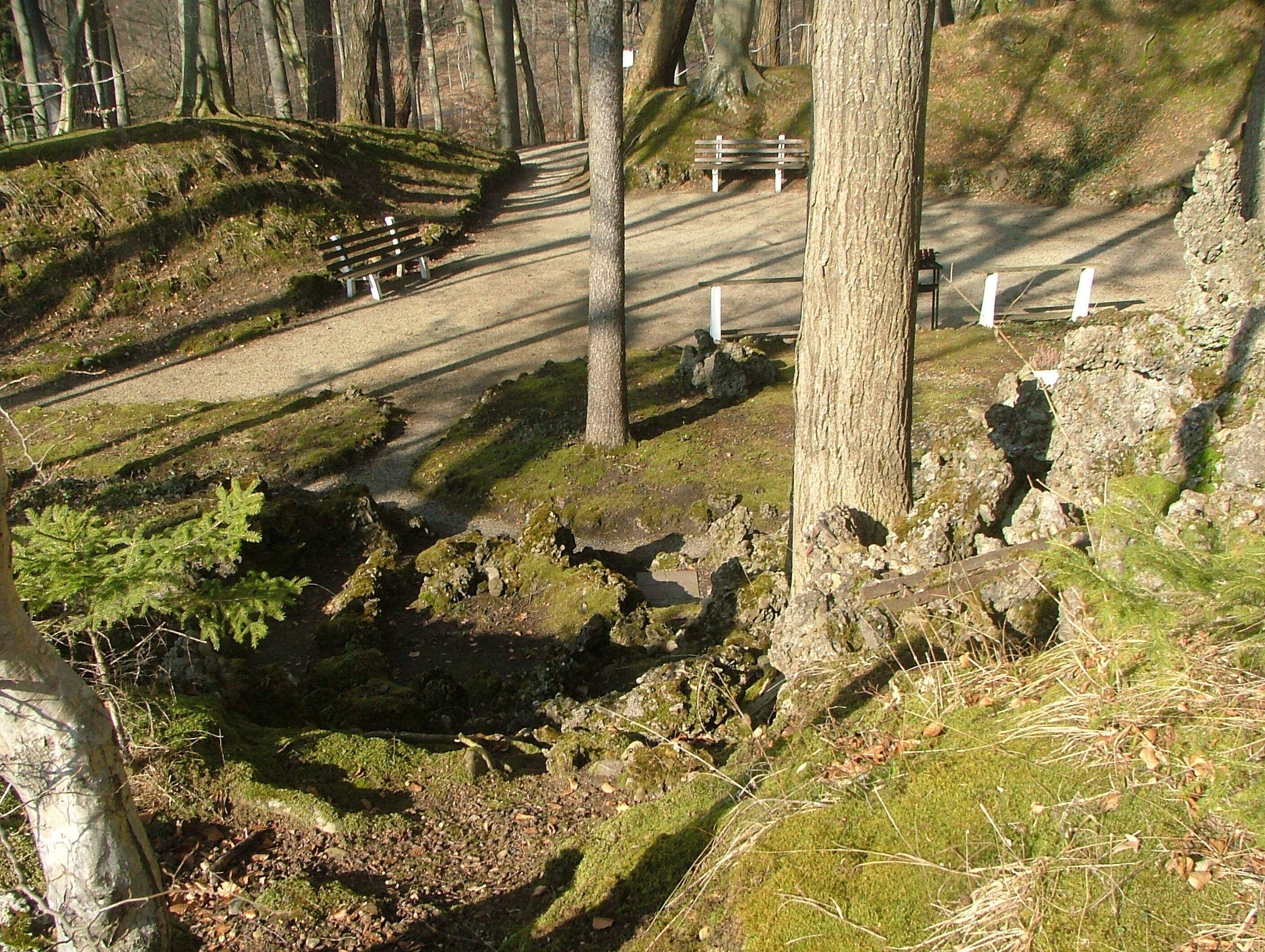 A forested area with a dirt path, benches, and a small clearing.