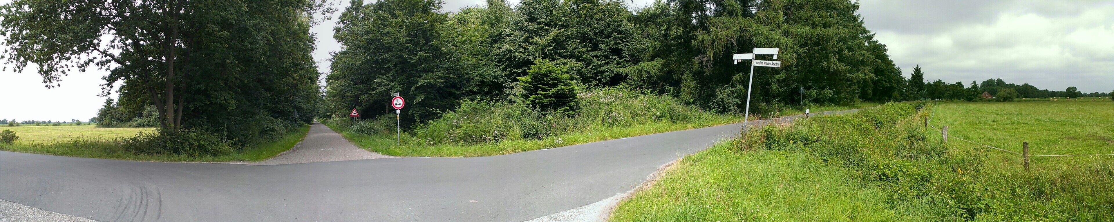 A rural road with a sharp bend, surrounded by lush greenery and trees.