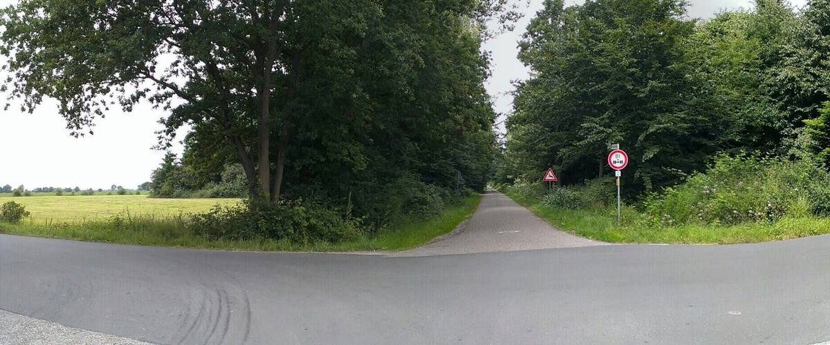 A rural road with a sharp bend, surrounded by lush greenery and trees.