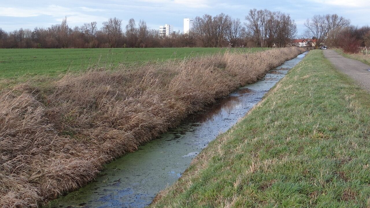 Der Kulkegraben vor der Mündung in die Oker.