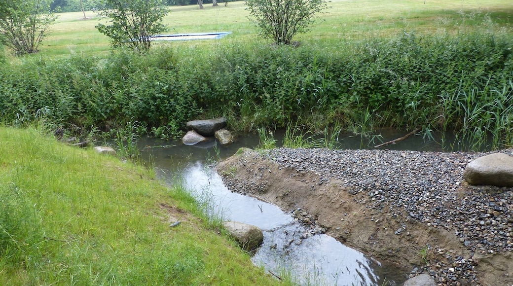 Abzweig vom nach rechts fließenden Springbach mit Kiesschüttung, Blickrichtung Süden.