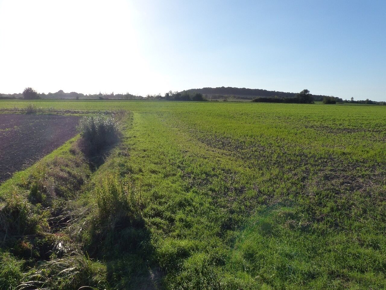 Der Kulkegraben an der Landstraße K 66 mit Blick zum Thieder Lindenberg.