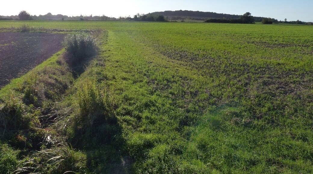 Der Kulkegraben an der Landstraße K 66 mit Blick zum Thieder Lindenberg.
