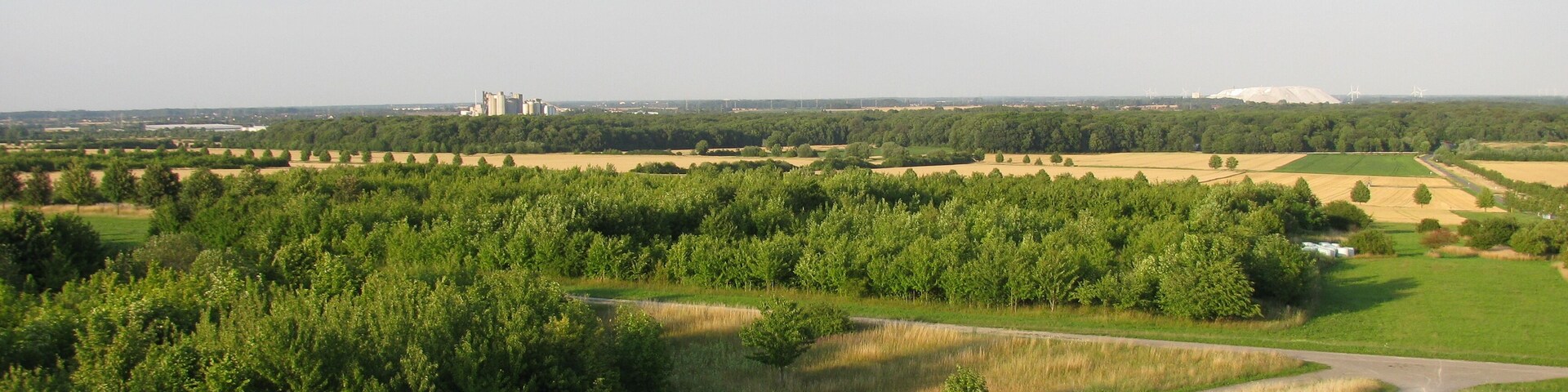 Blick vom Nordhügel des Kronsberg in nordöstliche Richtung