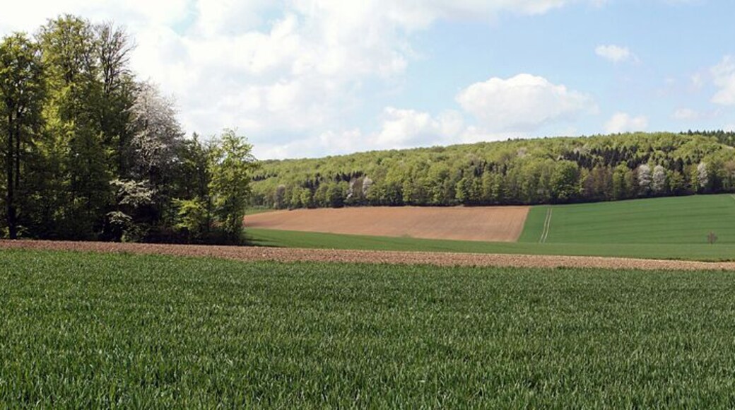 Panoramic view taken at 52N 10E, south of the village Evensen (Sehlem)