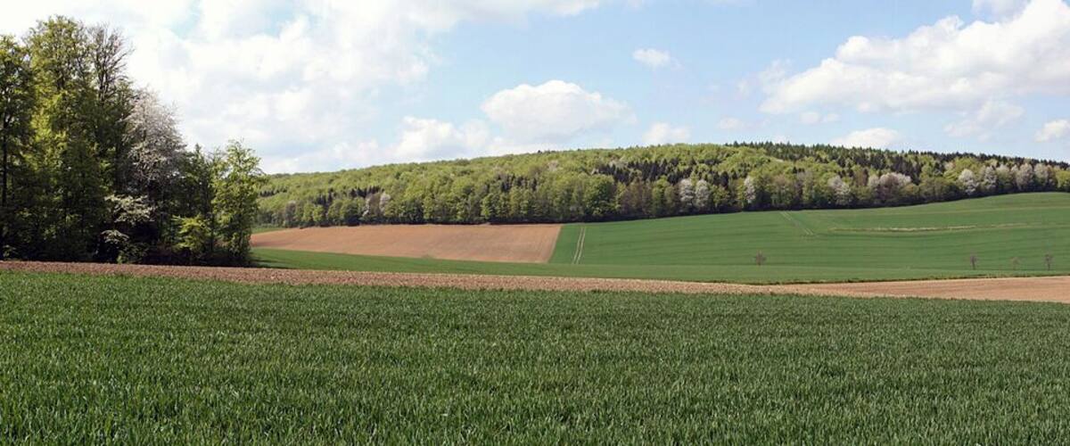 A rural landscape with green fields, a dirt path, wind turbines, and a village in the distance.