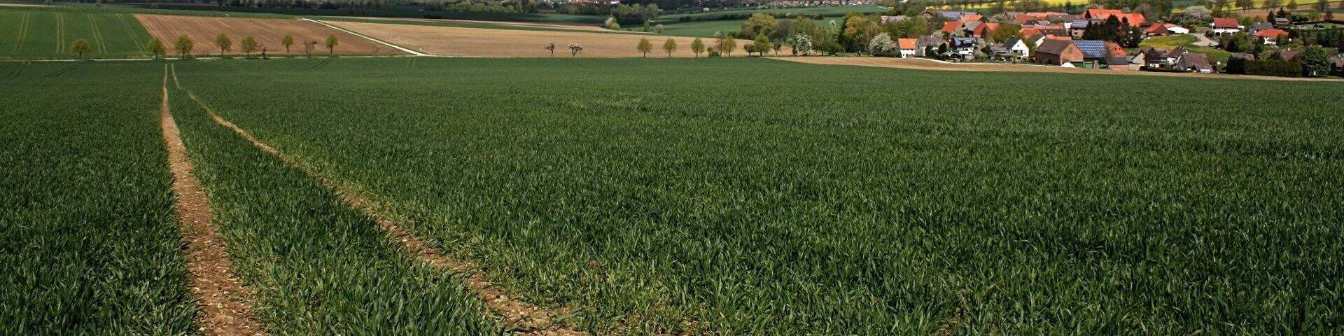 Confluence Point 52N 10E