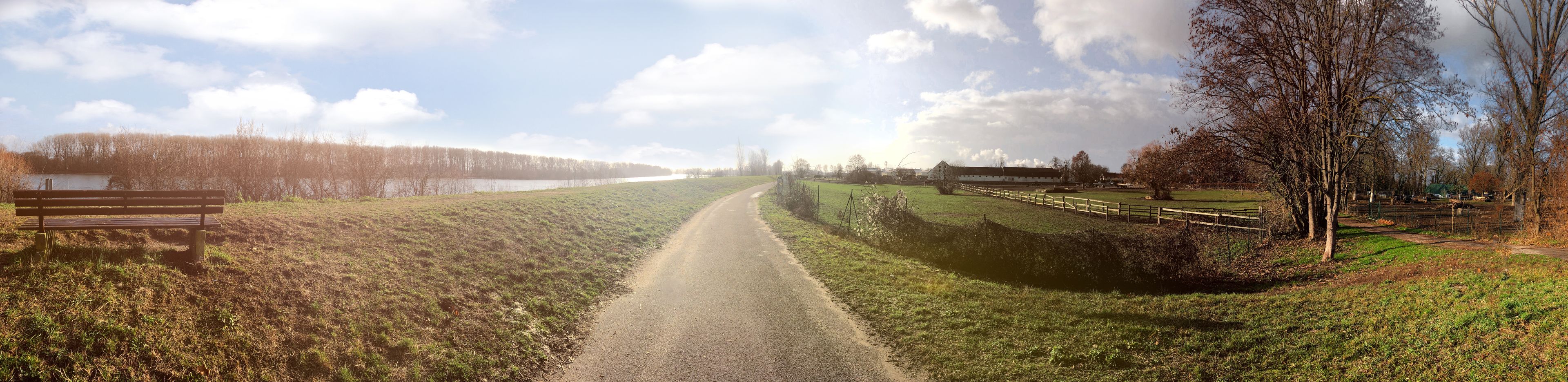 Eine ländliche Straße mit einer Bank, einem Zaun und Bäumen.