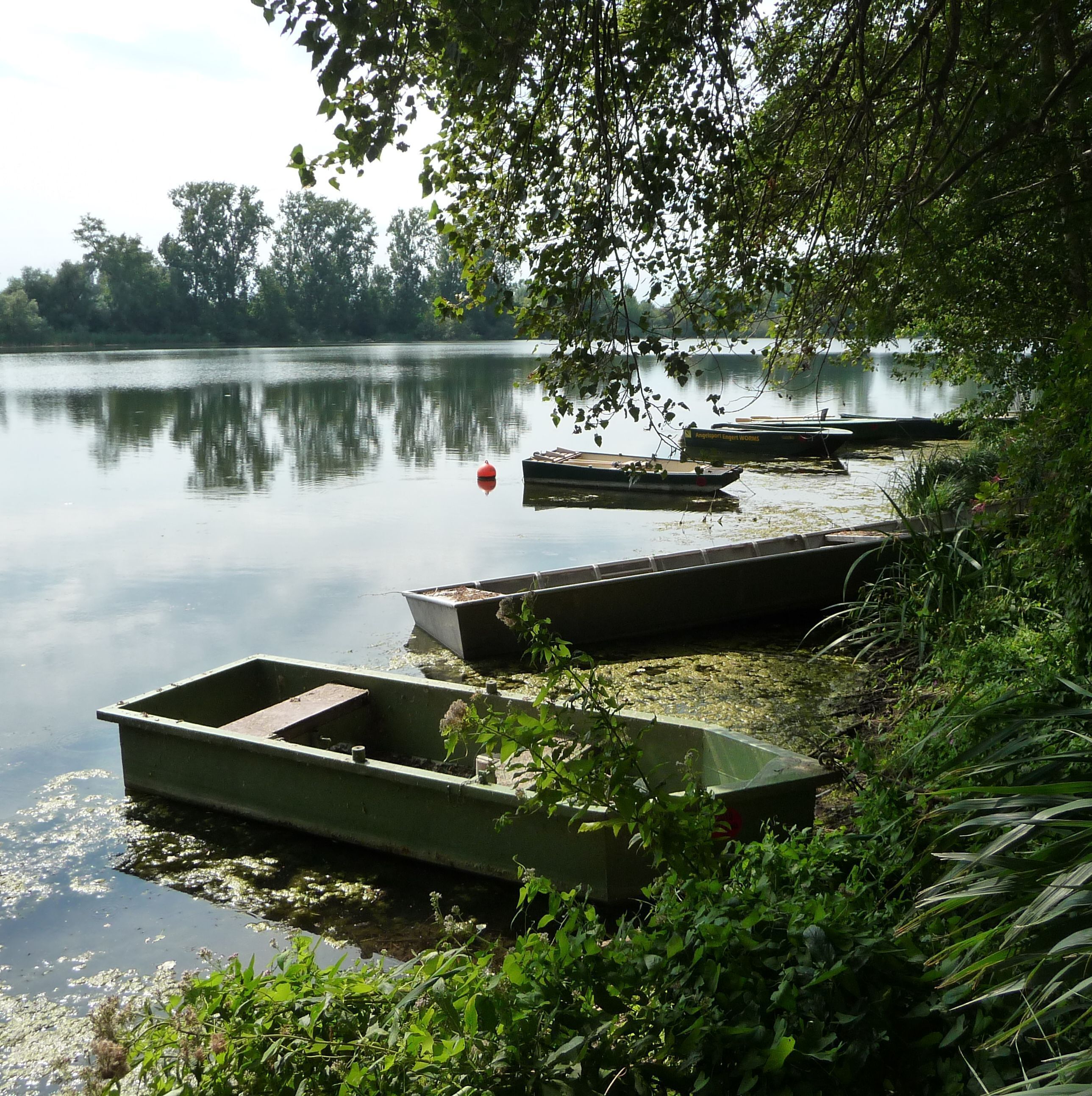 A calm lake with boats docked along the shore, surrounded by greenery and trees.