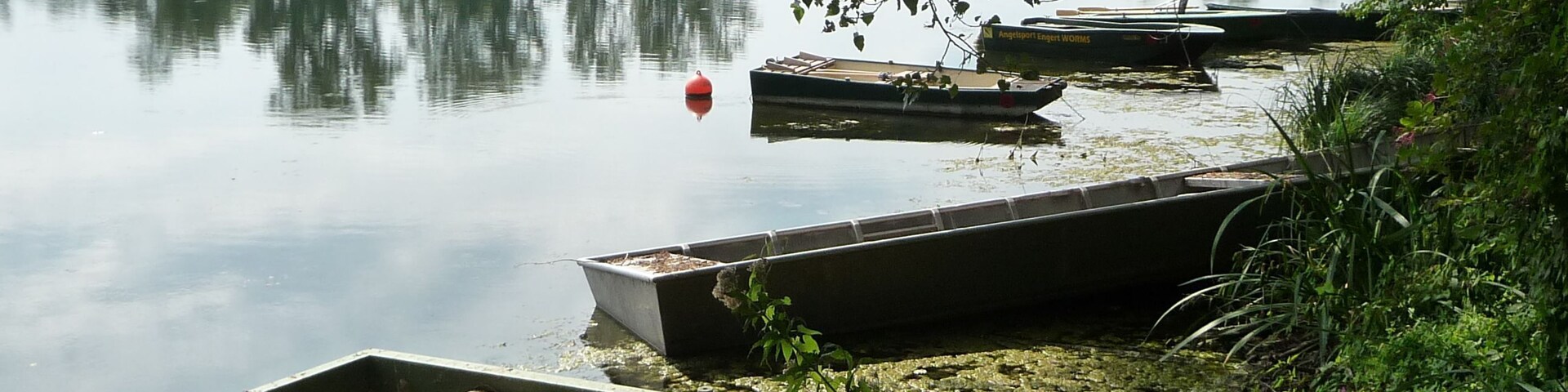 A calm lake with boats docked along the shore, surrounded by greenery and trees.