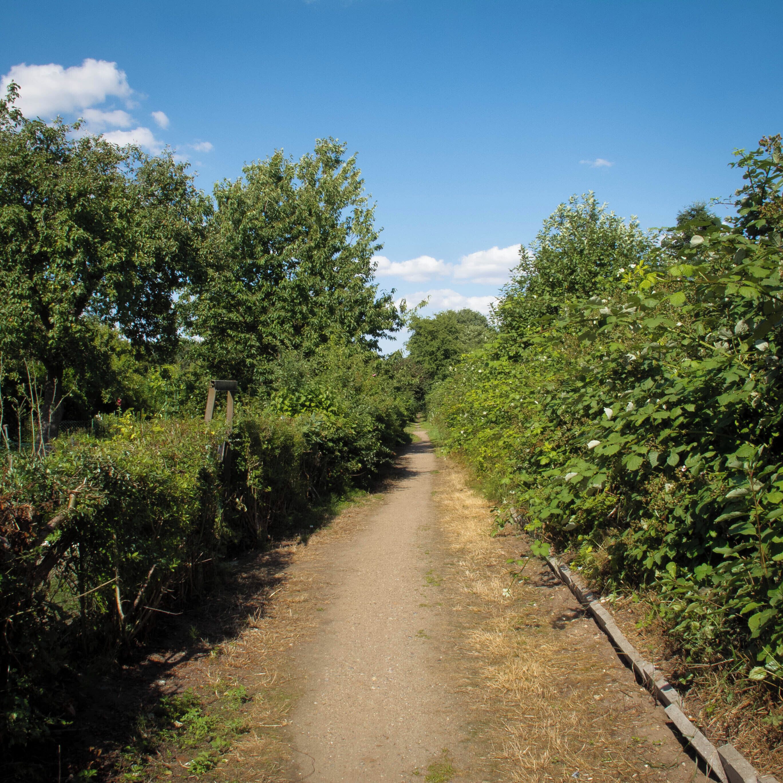 Hinter der Wachthauskoppel.