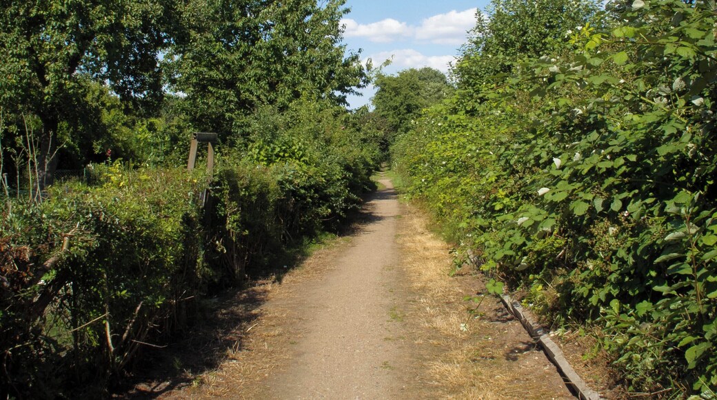 Hinter der Wachthauskoppel.