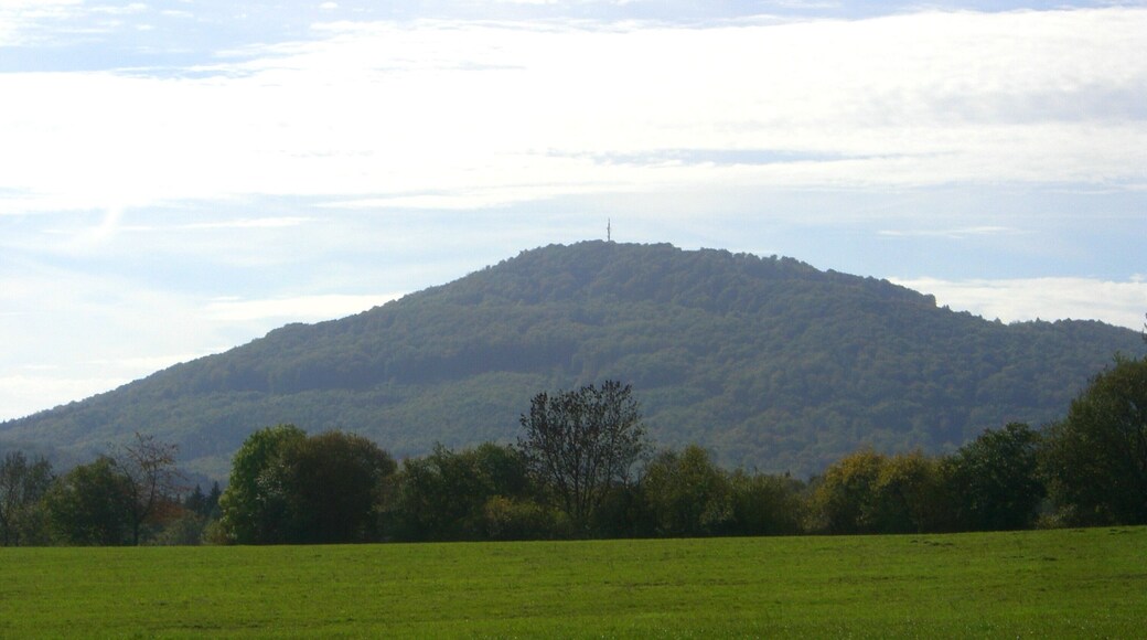 Großer Gleichberg aus Richtung Zeilfeld
